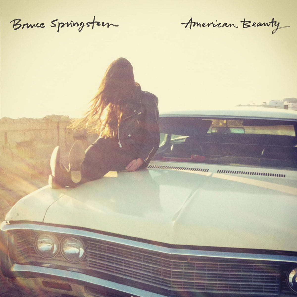 Bruce Springsteen American Beauty front cover