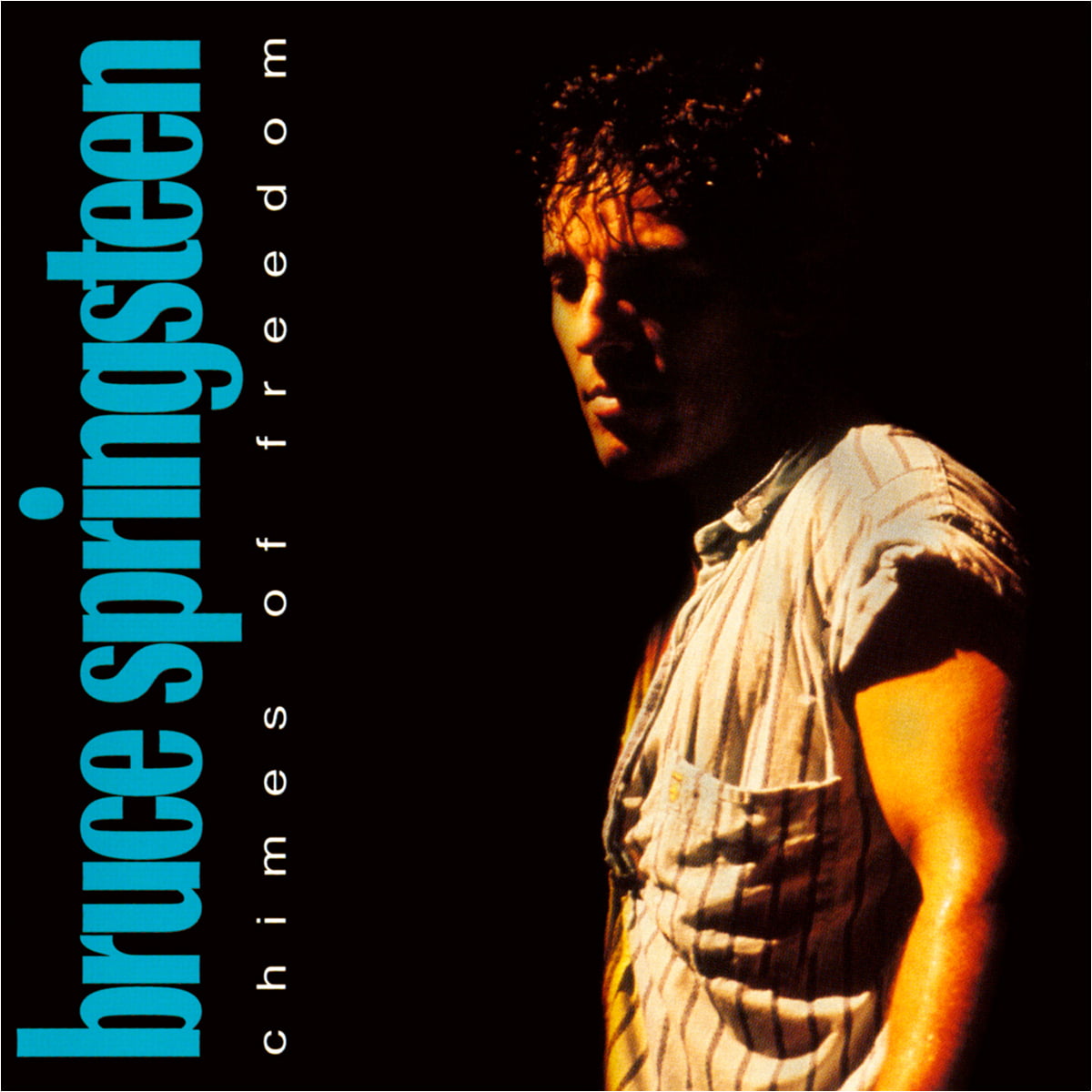 Bruce Springsteen Chimes of Freedom front cover
