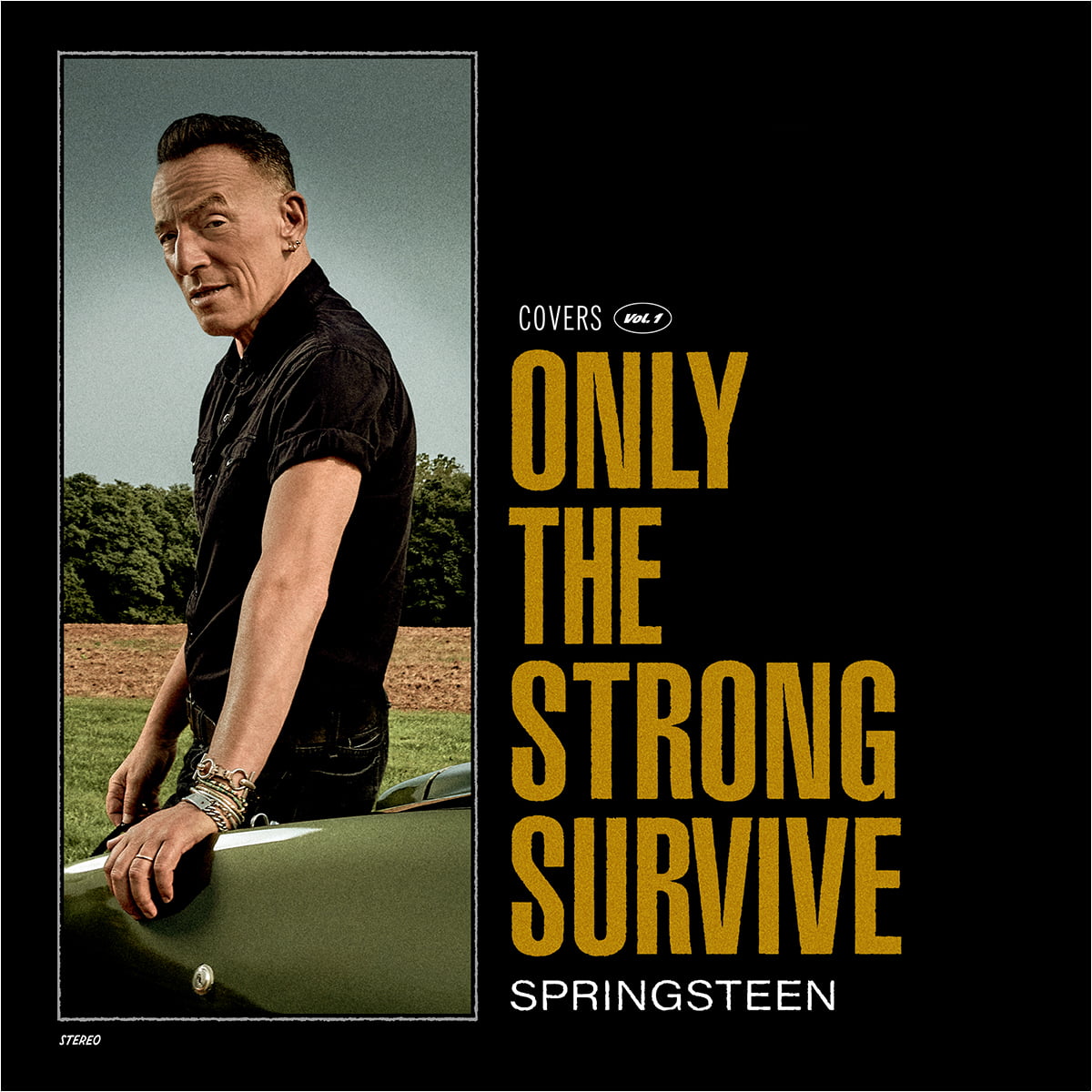 Bruce Springsteen Only The Strong Survive front cover