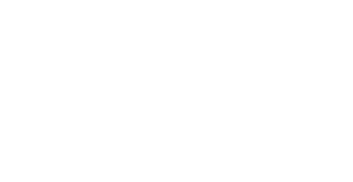 Bruce Springsteen Born In The U.S.A. Tour logo